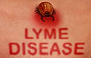Long Island Tick & Mosquito Spraying